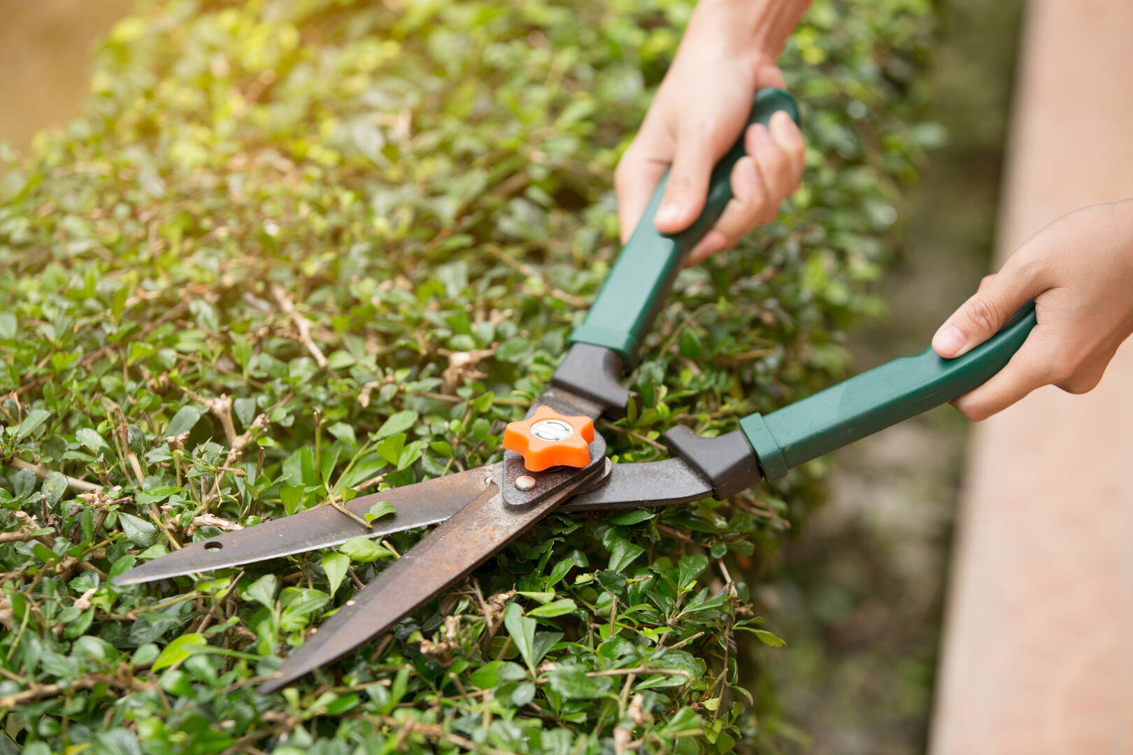 ATS Tree Service, LLC